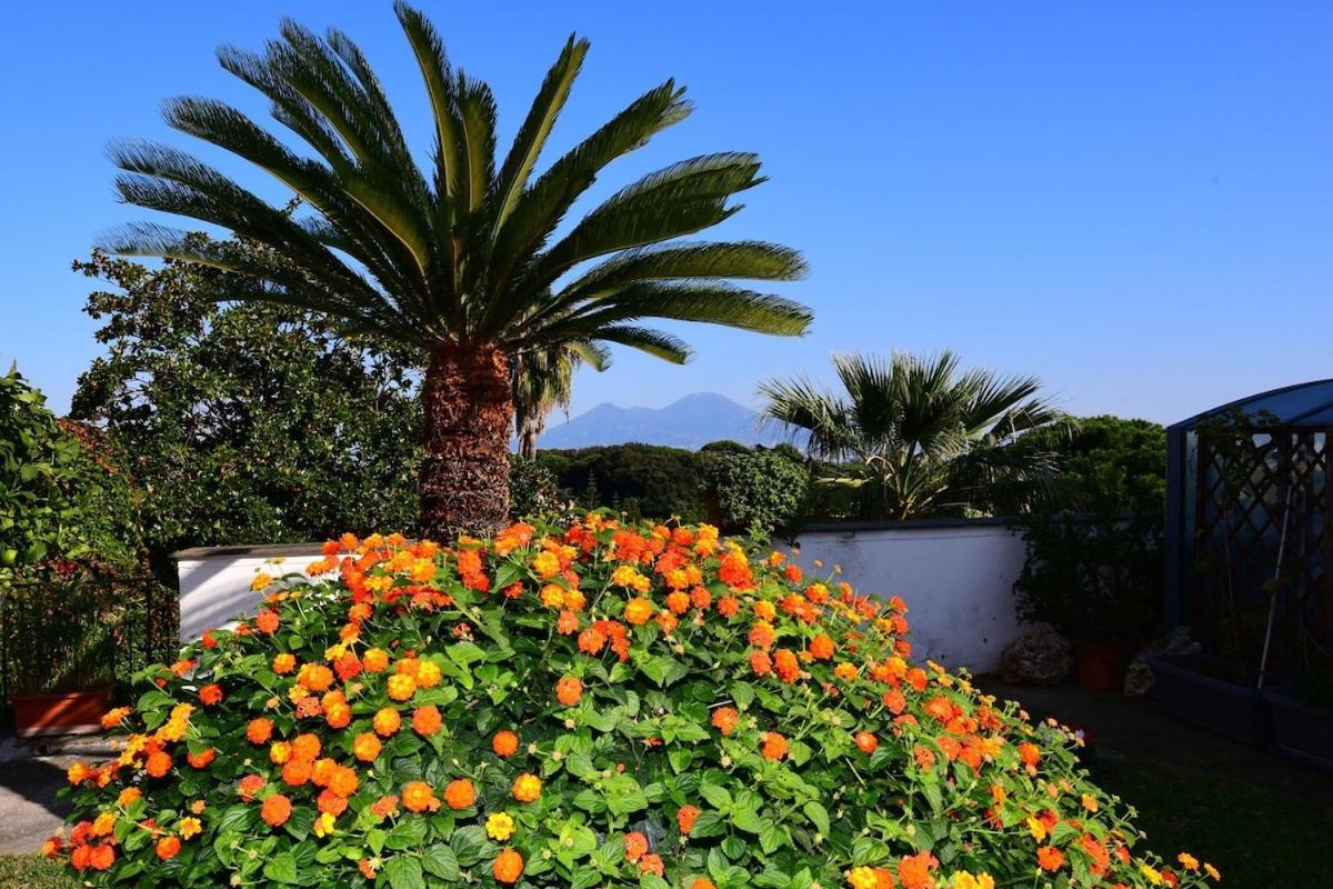 Casa Giulia Posillipo Wide