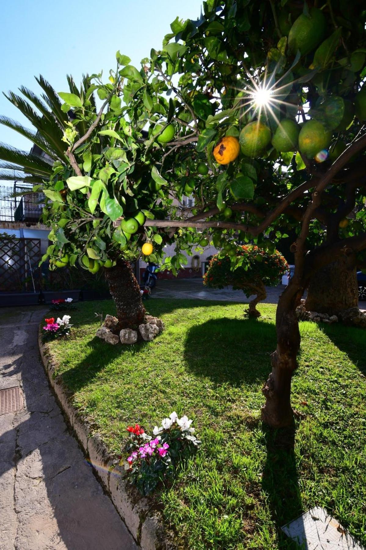 Casa Giulia Posillipo Wide Apartment Naples