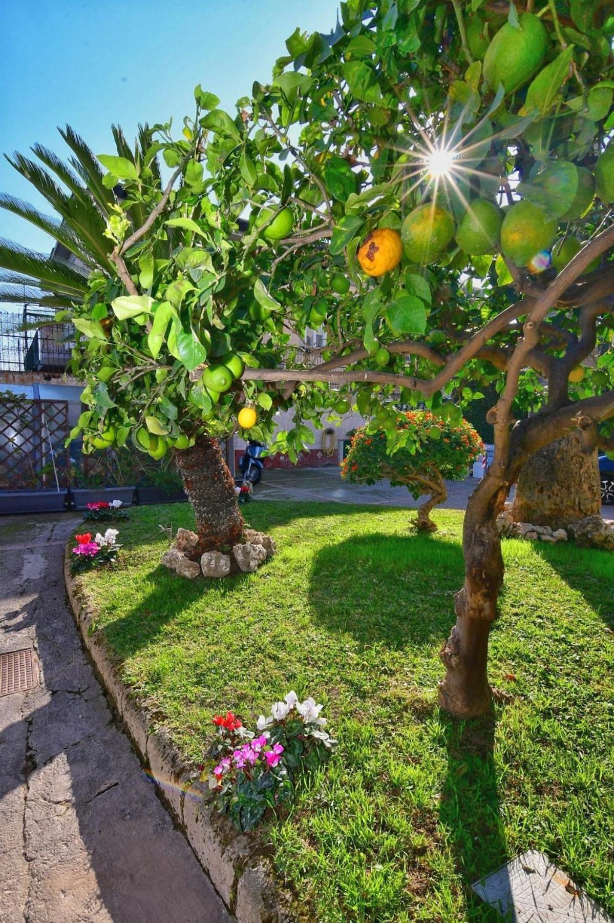 Apartment Casa Giulia Posillipo Wide Naples